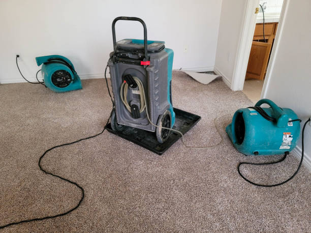 Best Commercial water damage restoration  in Lebanon, OR