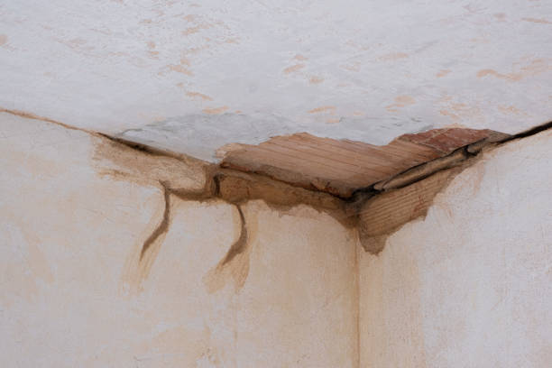 Best Basement water damage restoration  in Lebanon, OR