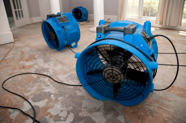 Best Residential water damage restoration  in Lebanon, OR