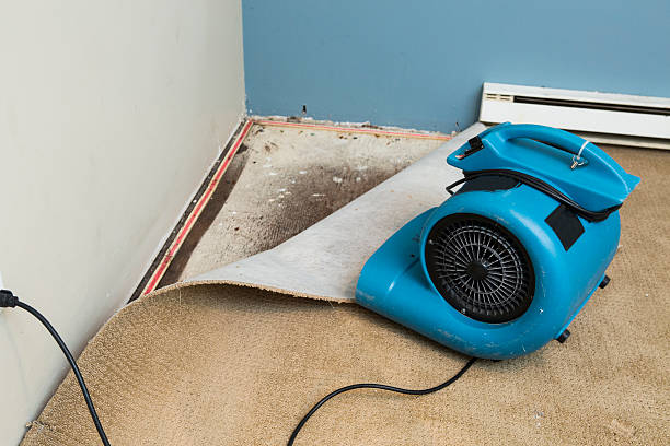 Best Water damage restoration near me  in Lebanon, OR